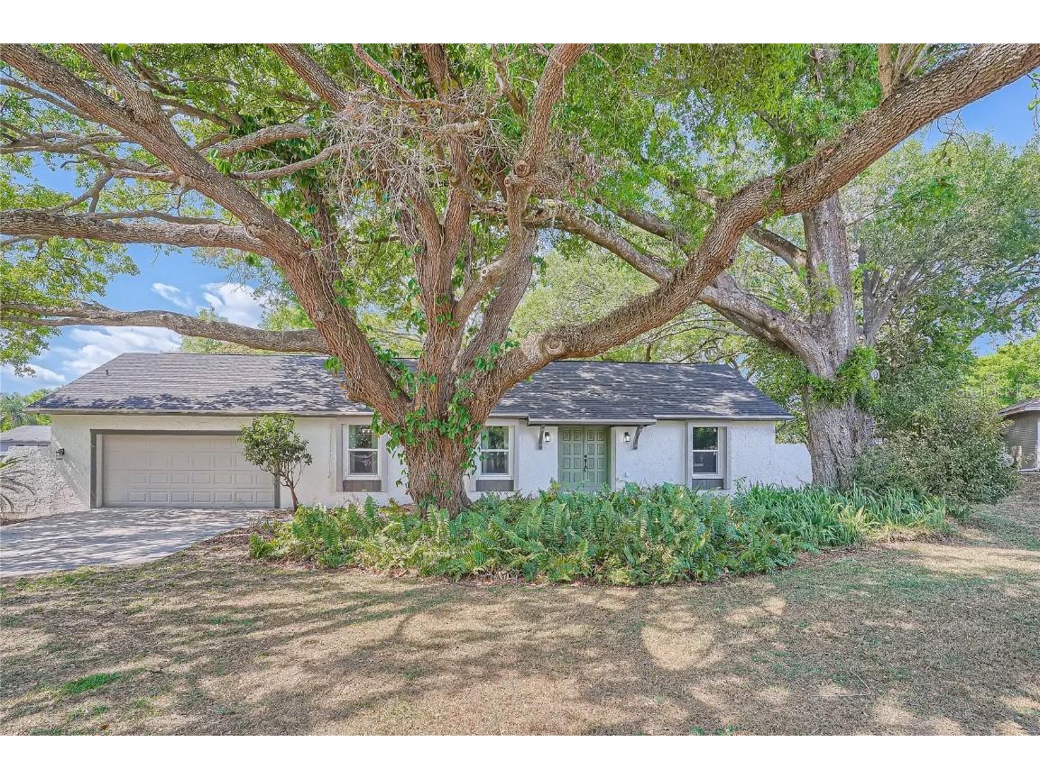 4110 Helene Place Valrico FL 33594 T3433257 image1