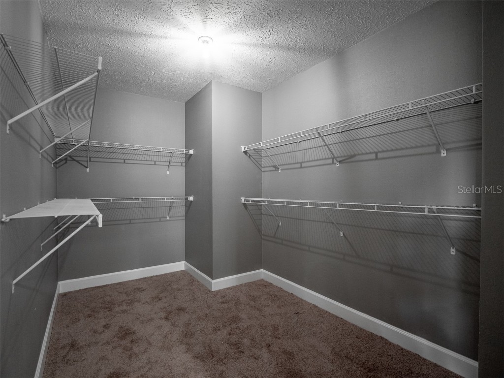 4110 N River View Avenue Tampa FL 33607 - HILLSBOROUGH RIVER TB8413149 image24