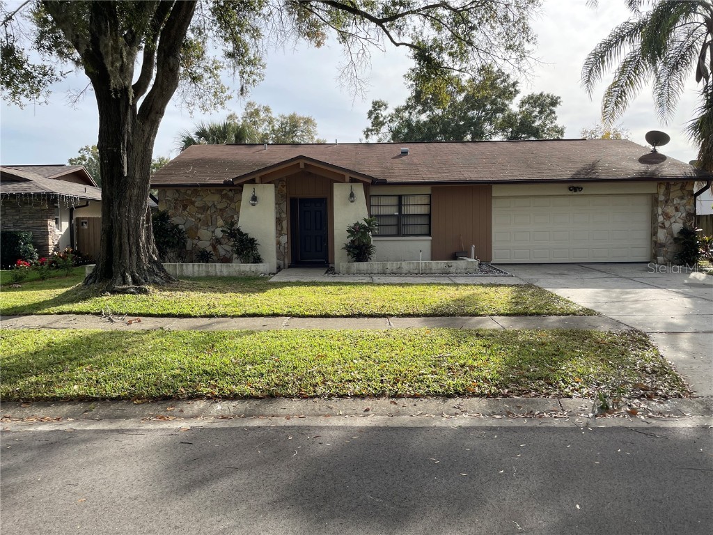 4110 Summerdale Drive Tampa FL 33624 T3493024 image1
