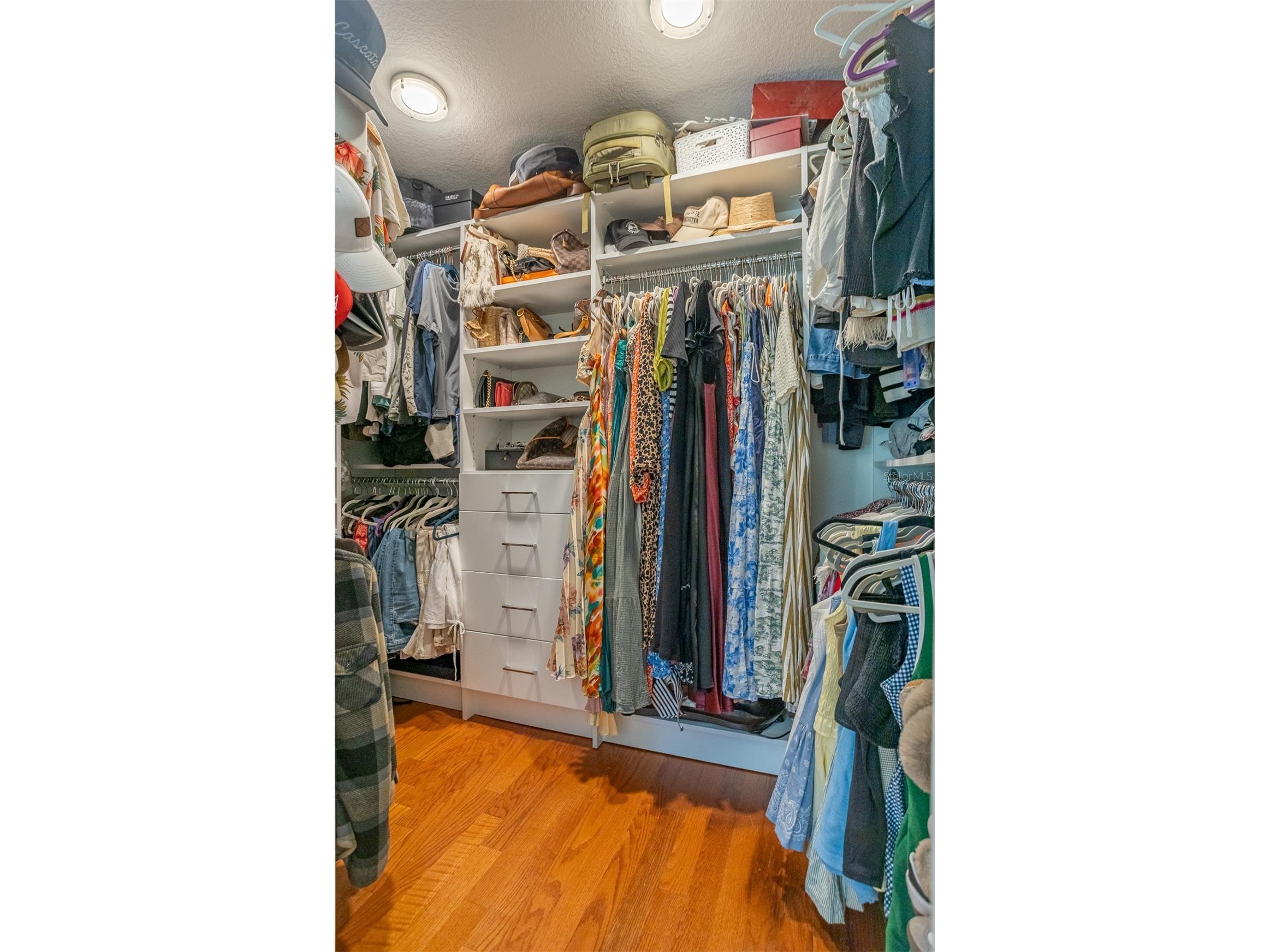 4110 W Mullen Avenue Tampa FL 33609 TB8503709 image36