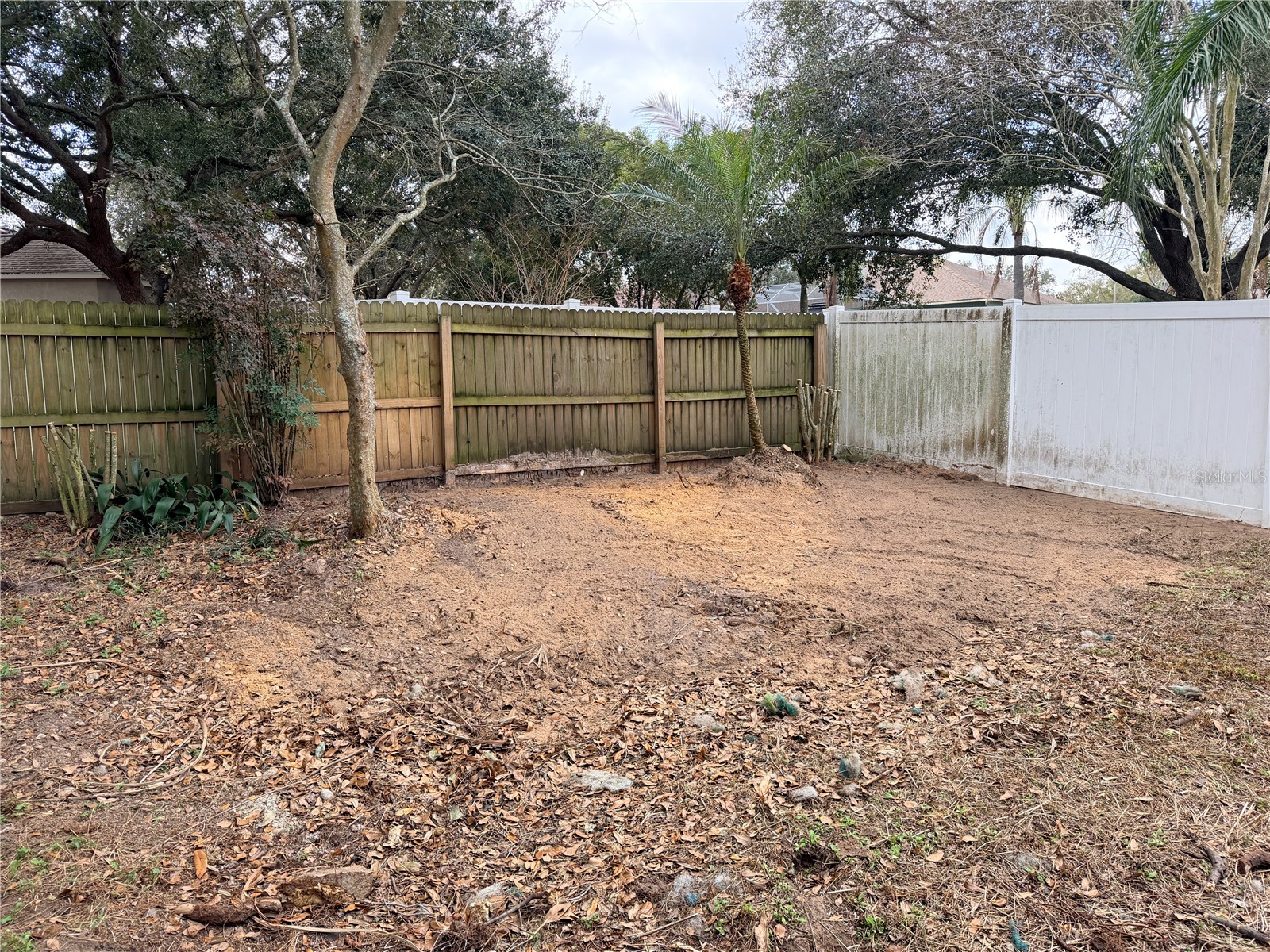 4111 Amber Ridge Lane Valrico FL 33594 TB8477156 image25