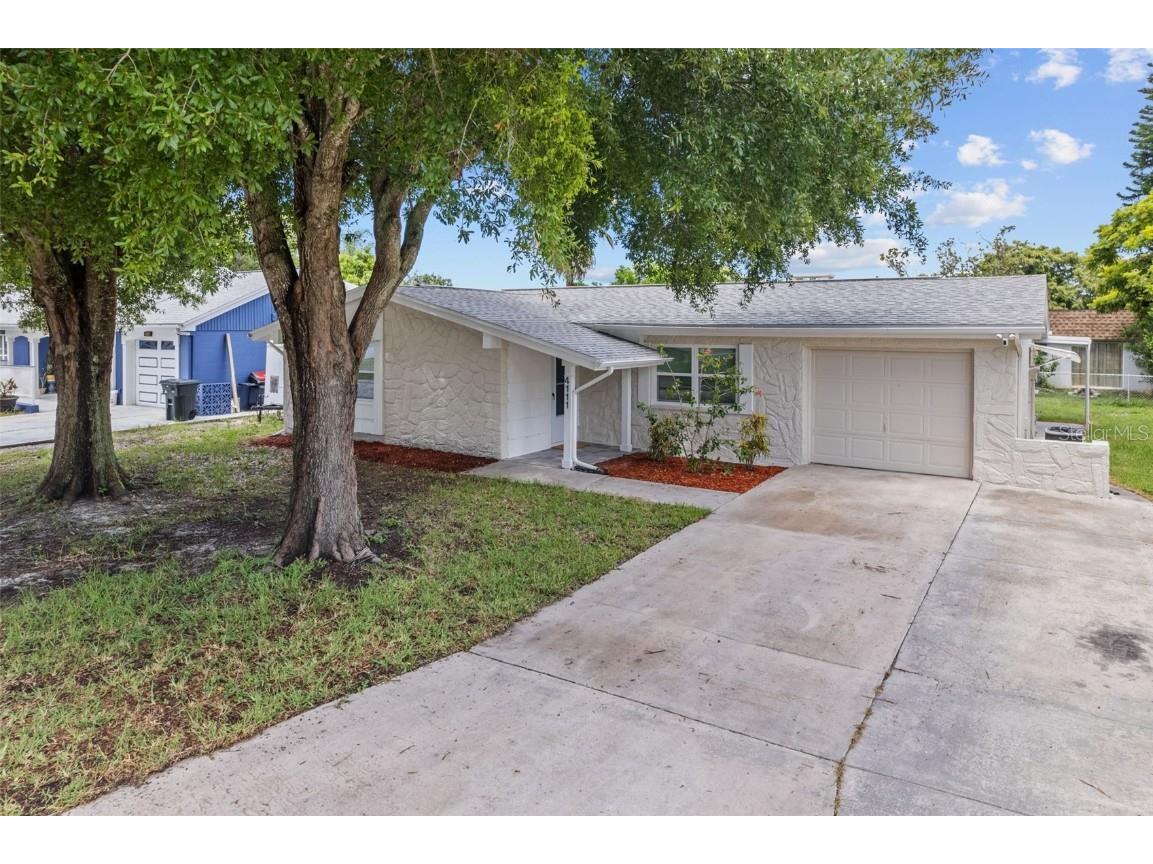 4111 Claremont Drive New Port Richey FL 34652 U8210201 image1