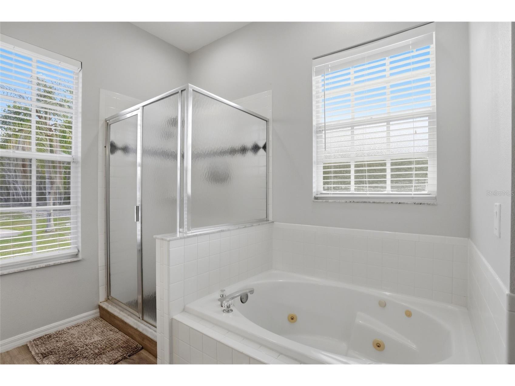 4111 Foxtail Court Kissimmee FL 34746 S5145731 image35