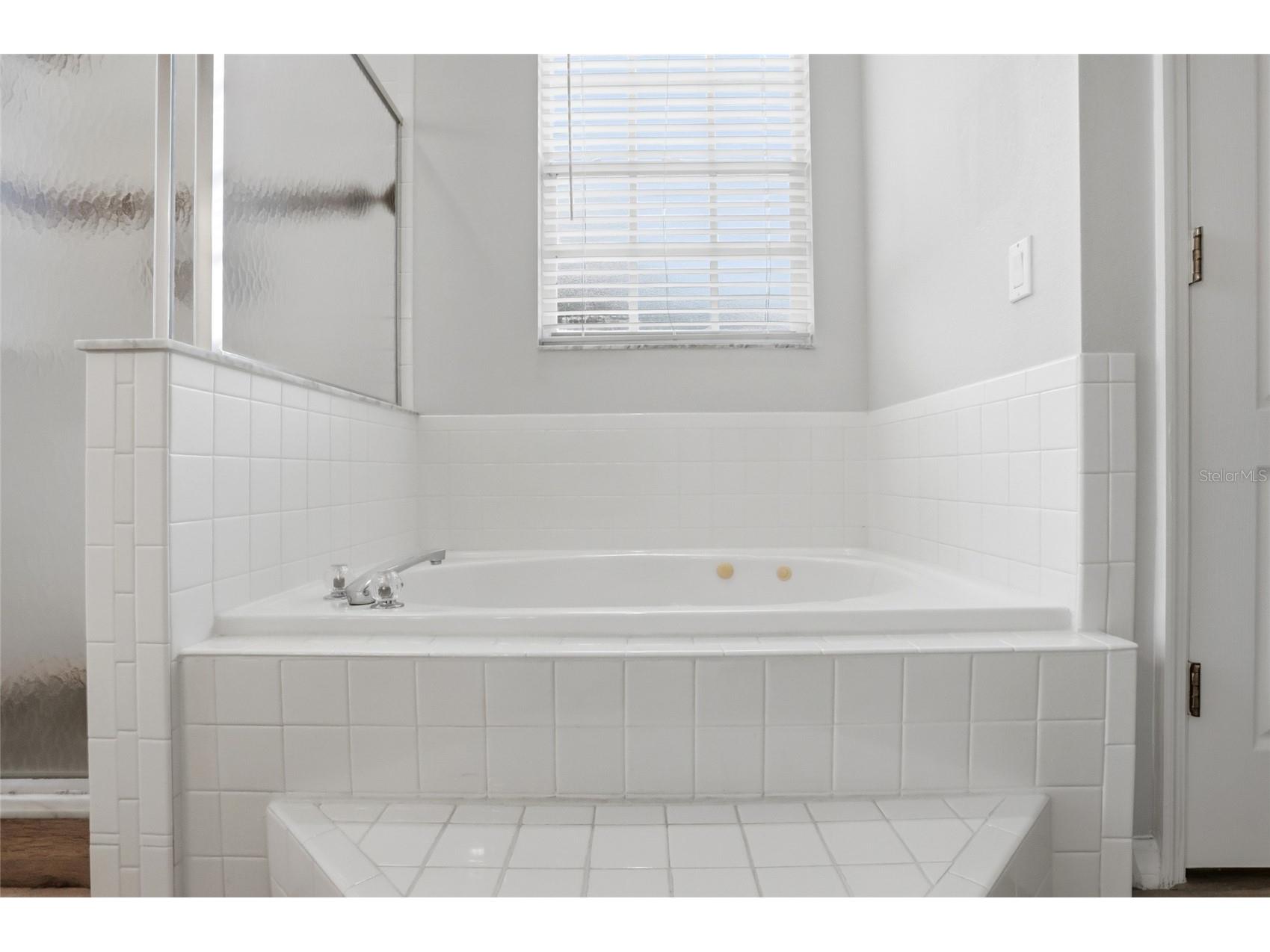 4111 Foxtail Court Kissimmee FL 34746 S5145731 image37