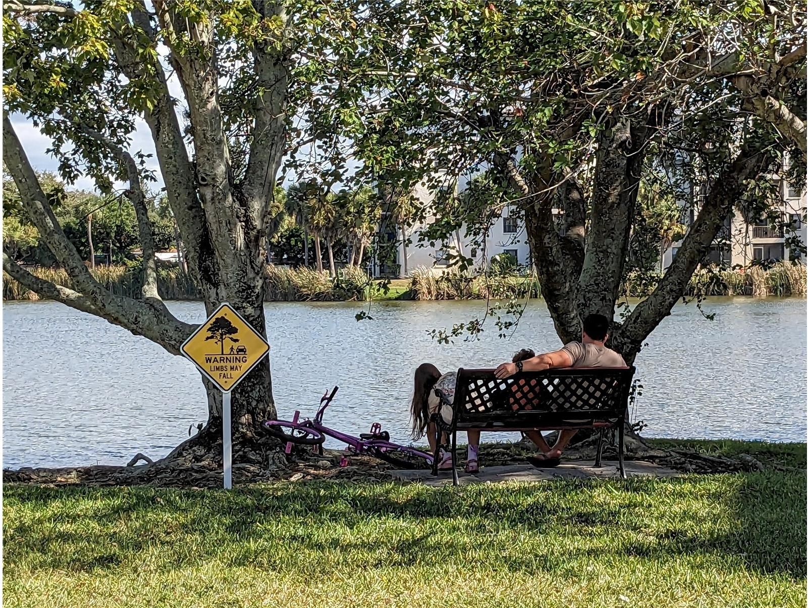 4111 Heron Way #E-103 Bradenton FL 34205 A4692468 image28