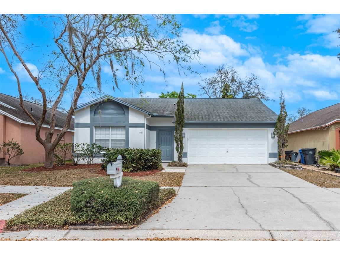 4111 Moreland Drive Valrico FL 33596 T3432524 image1