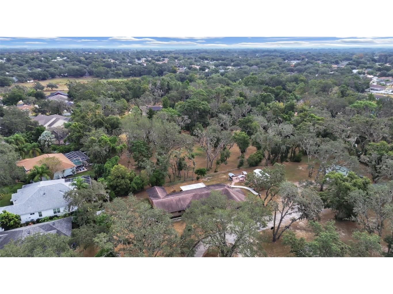 4111 Robinson Road Valrico FL 33594 TB8445653 image5