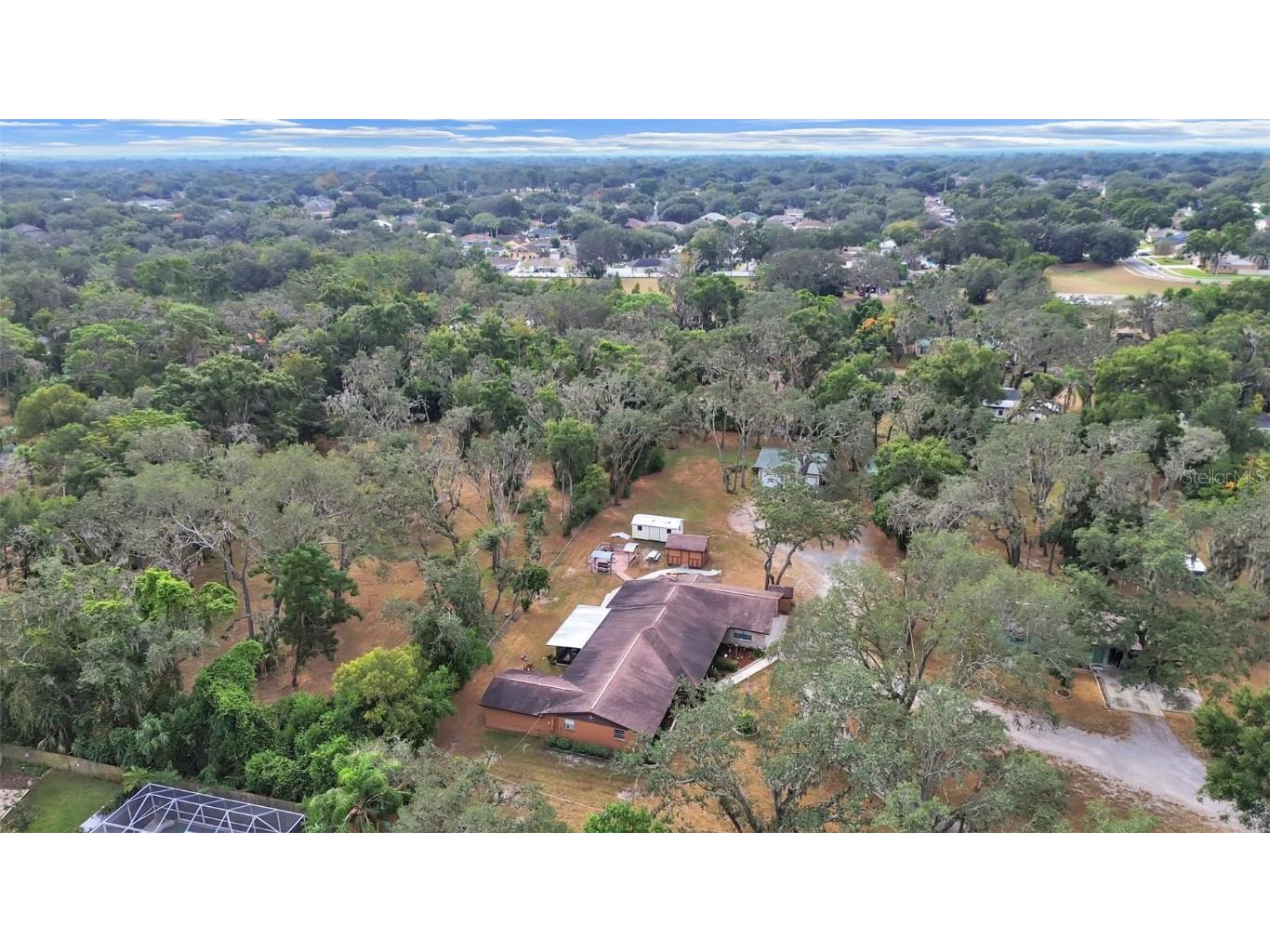 4111 Robinson Road Valrico FL 33594 TB8445653 image6