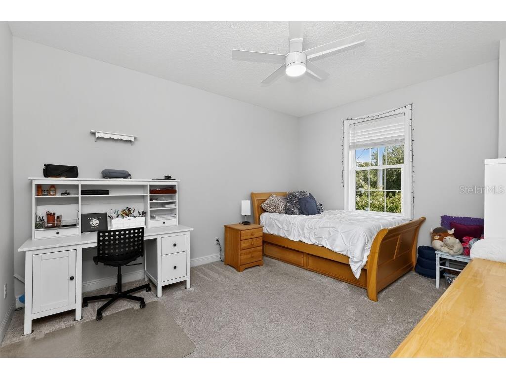 4111 W Obispo Street Tampa FL 33629 TB8417861 image16