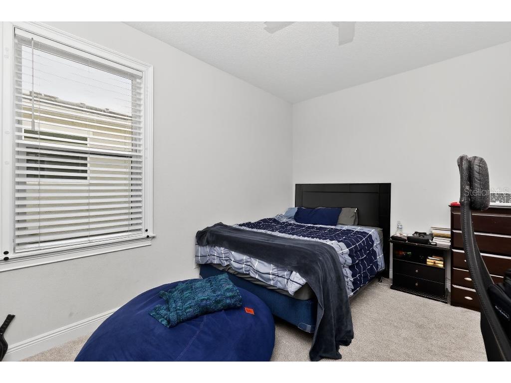 4111 W Obispo Street Tampa FL 33629 TB8417861 image19