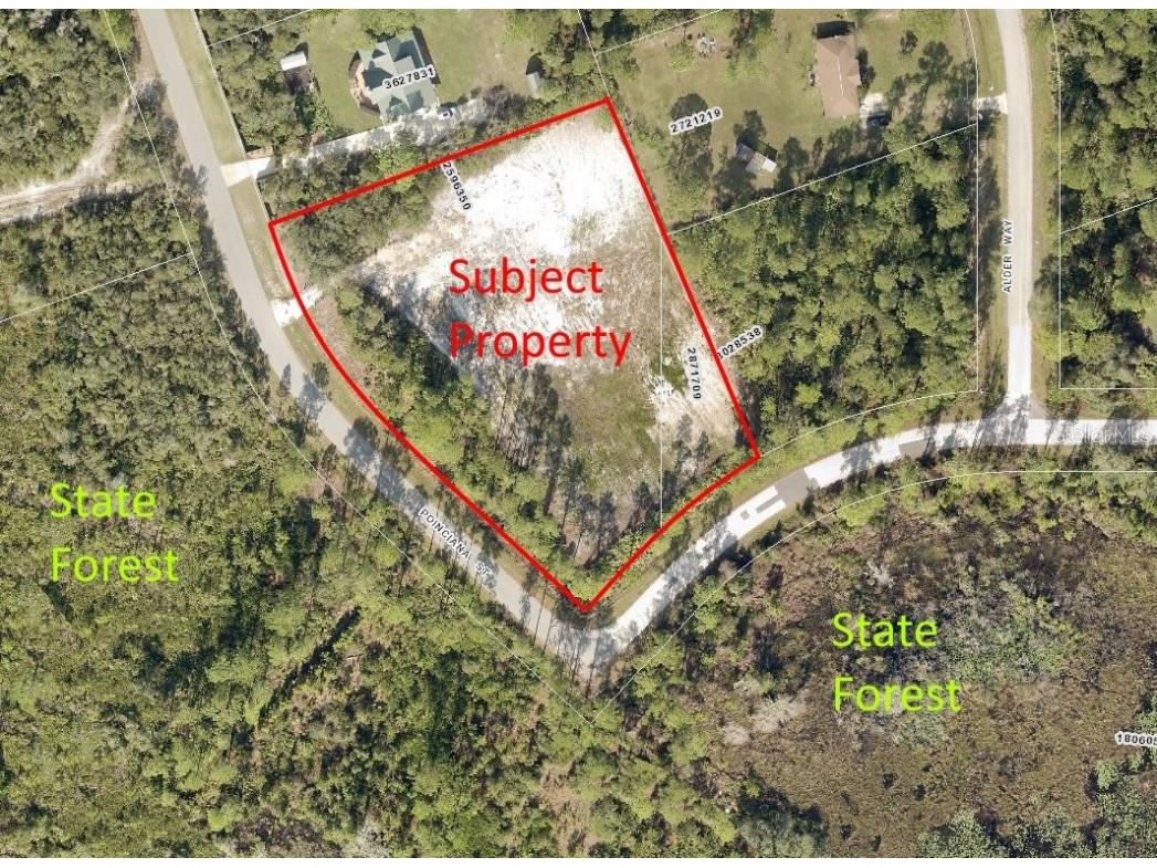 41112 Poinciana Street Eustis FL 32736 - LAKE NORRIS ST JOHNS RIVER G5081335 image1