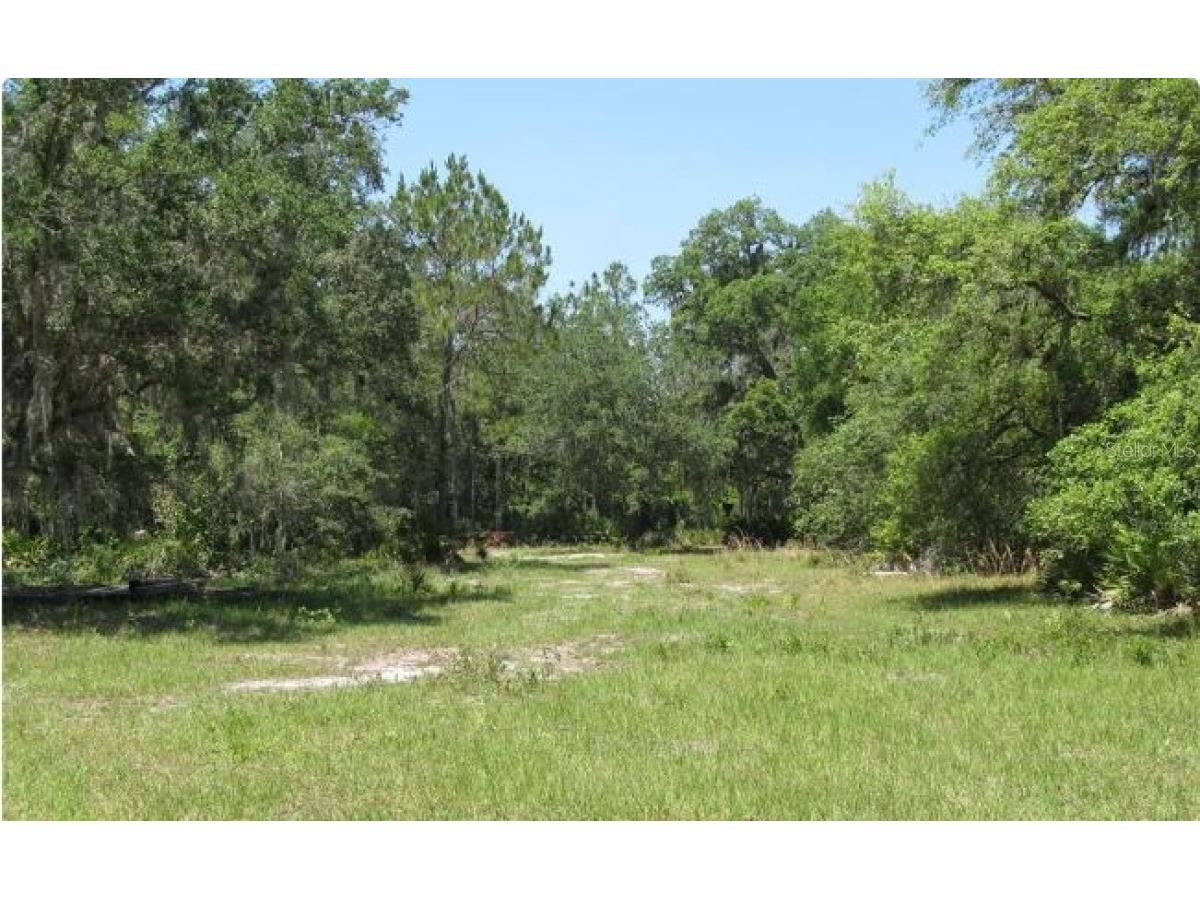 41117 20th Place E Myakka City FL 34251 A4568571 image1