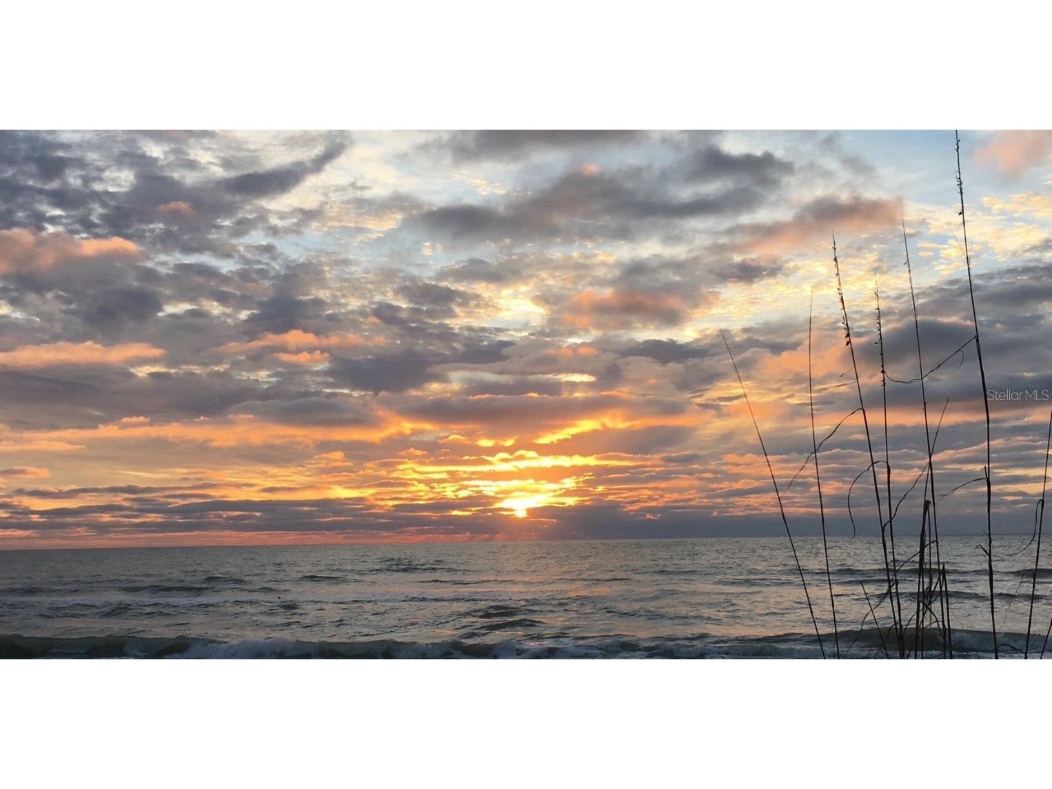 4112 128th Street W #605 Cortez FL 34215 A4672340 image59