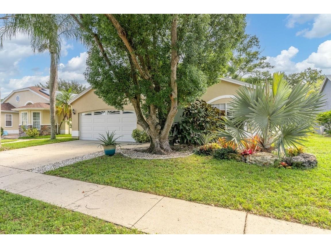 4112 Andover Street New Port Richey FL 34653 T3469018 image1