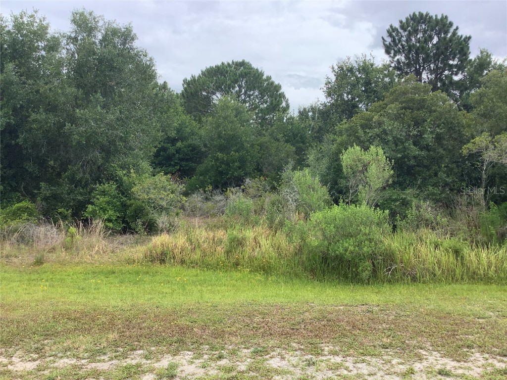 41127 18th Terrace E #40 Myakka City FL 34251 A4502771 image1