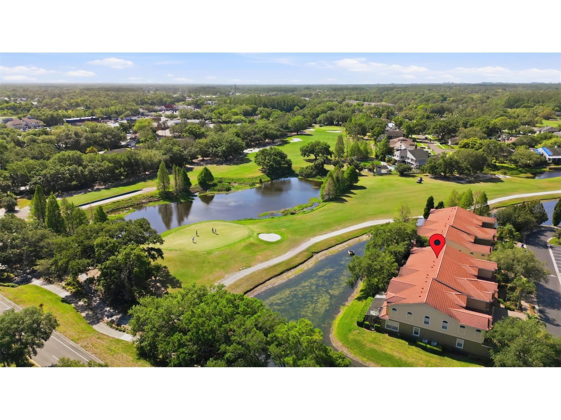 4113 Courtside Way Tampa FL 33618 TB8497126 image40