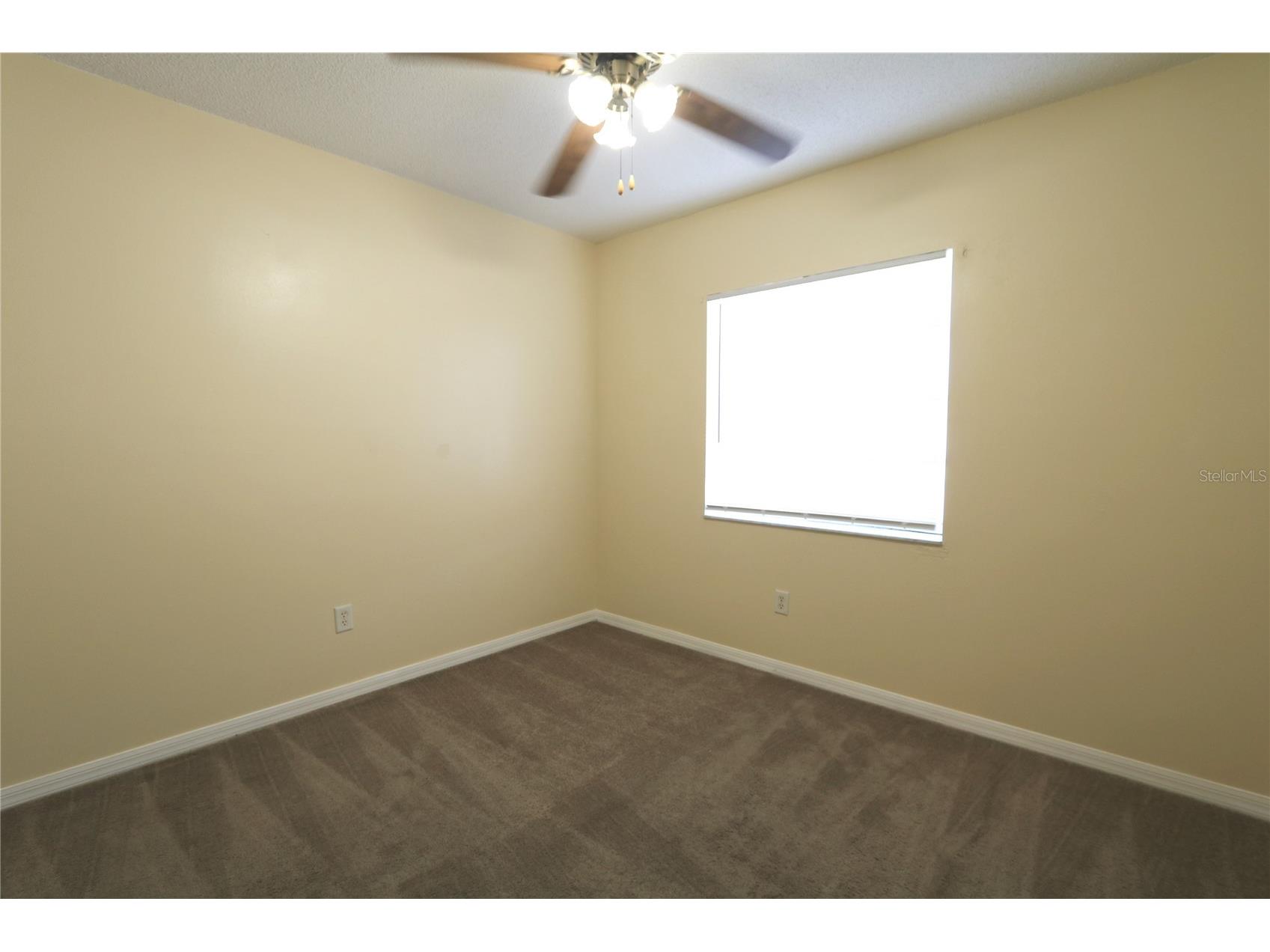 4113 Gradstone Place Tampa FL 33617 TB8508309 image14