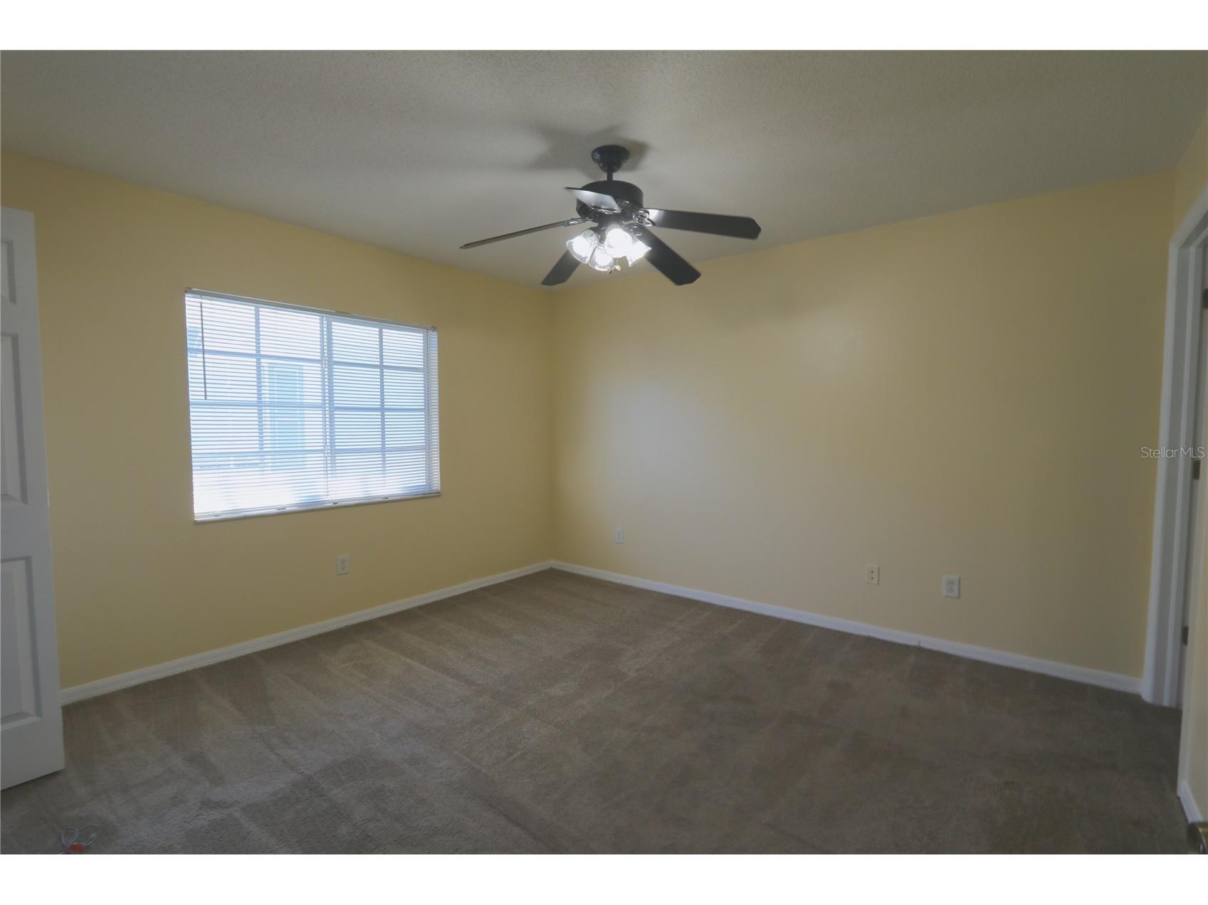 4113 Gradstone Place Tampa FL 33617 TB8508309 image15