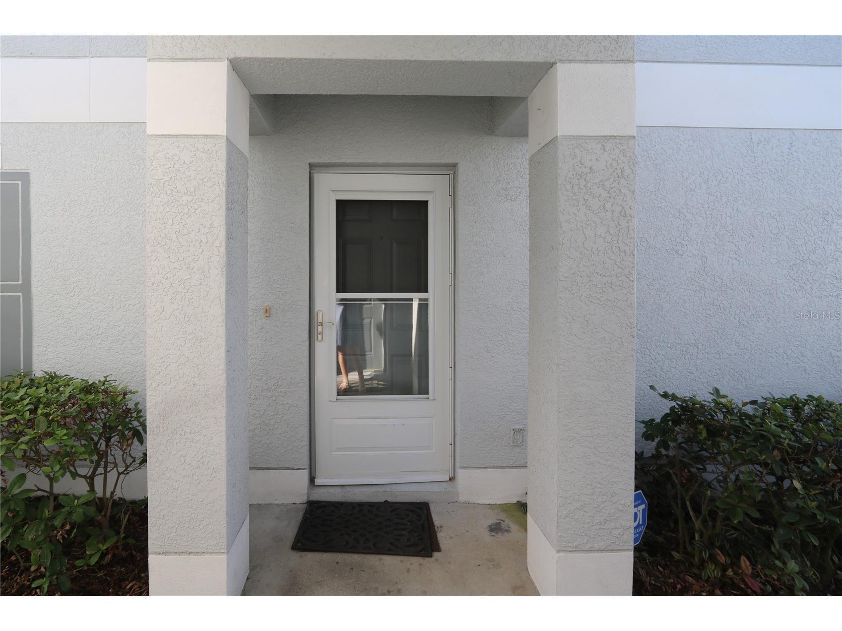 4113 Gradstone Place Tampa FL 33617 TB8508309 image2