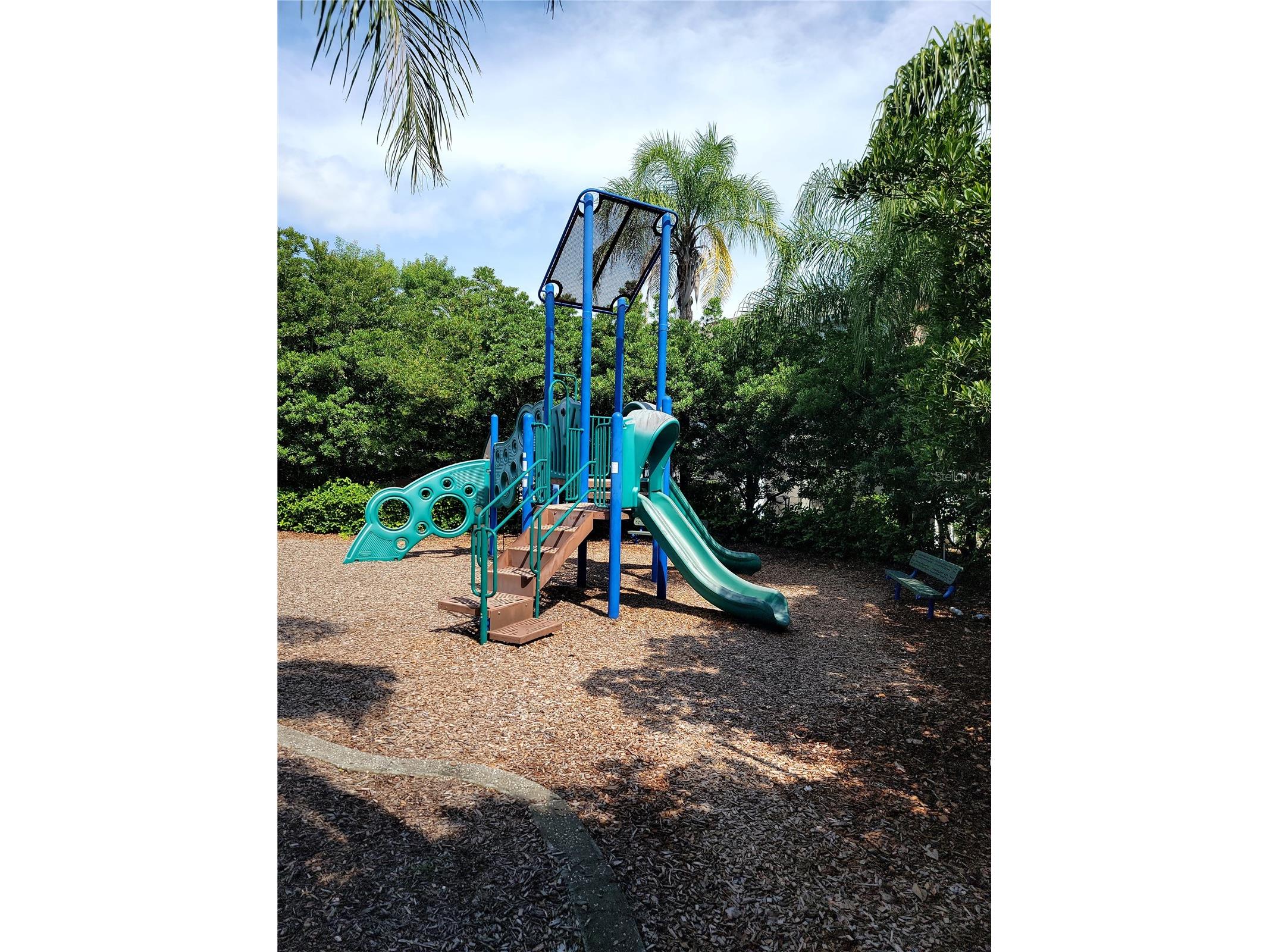 4113 Hedge Maple Place Winter Springs FL 32708 O6396927 image22