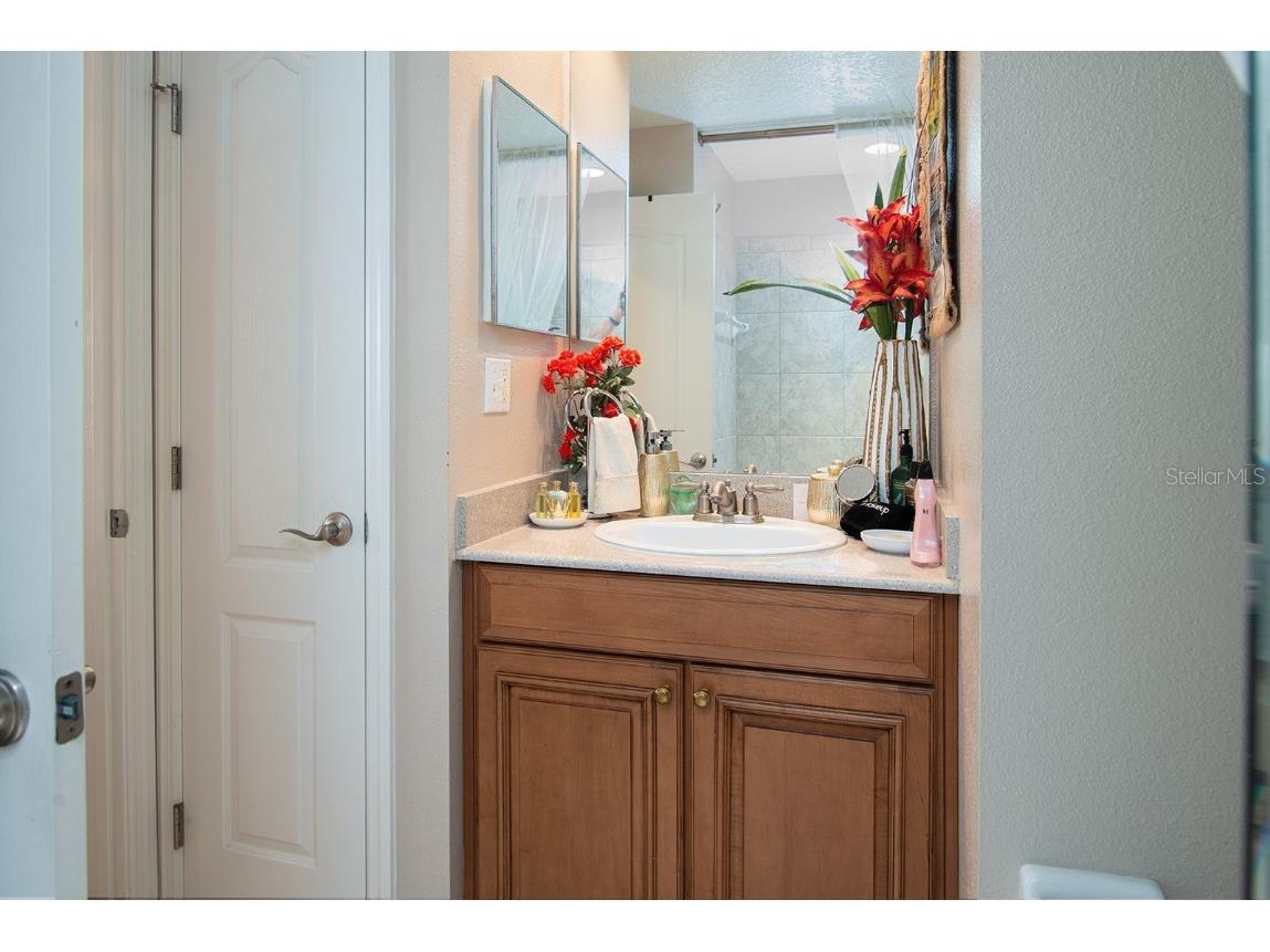 4113 Messina Drive Lake Mary FL 32746 O6365554 image10