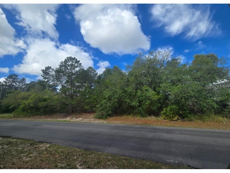 4113 Portillo Road Spring Hill FL 34608 W7884770 image1