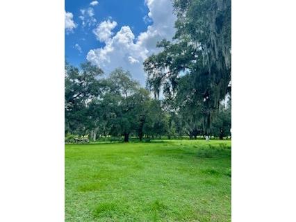 4113 Ryals Road Zephyrhills FL 33541 T3538761 image1