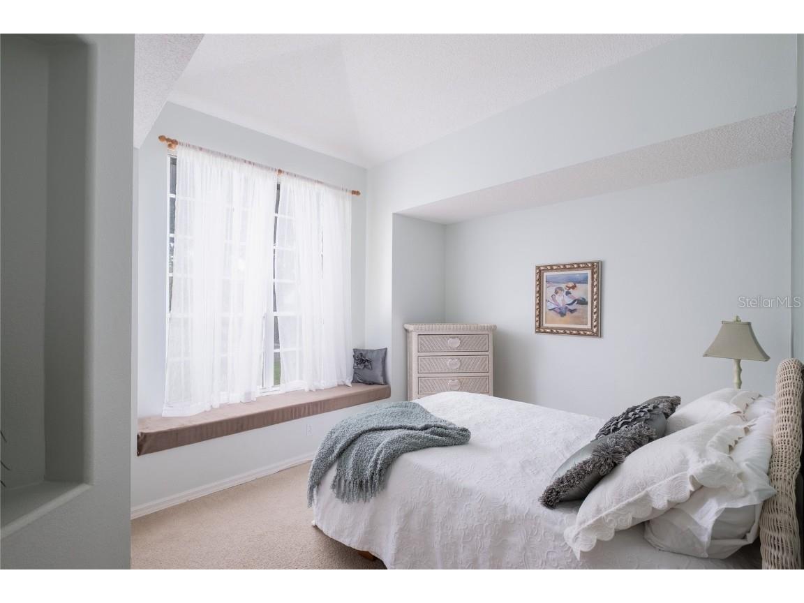 4113 Seton Circle Palm Harbor FL 34683 TB8443118 image12