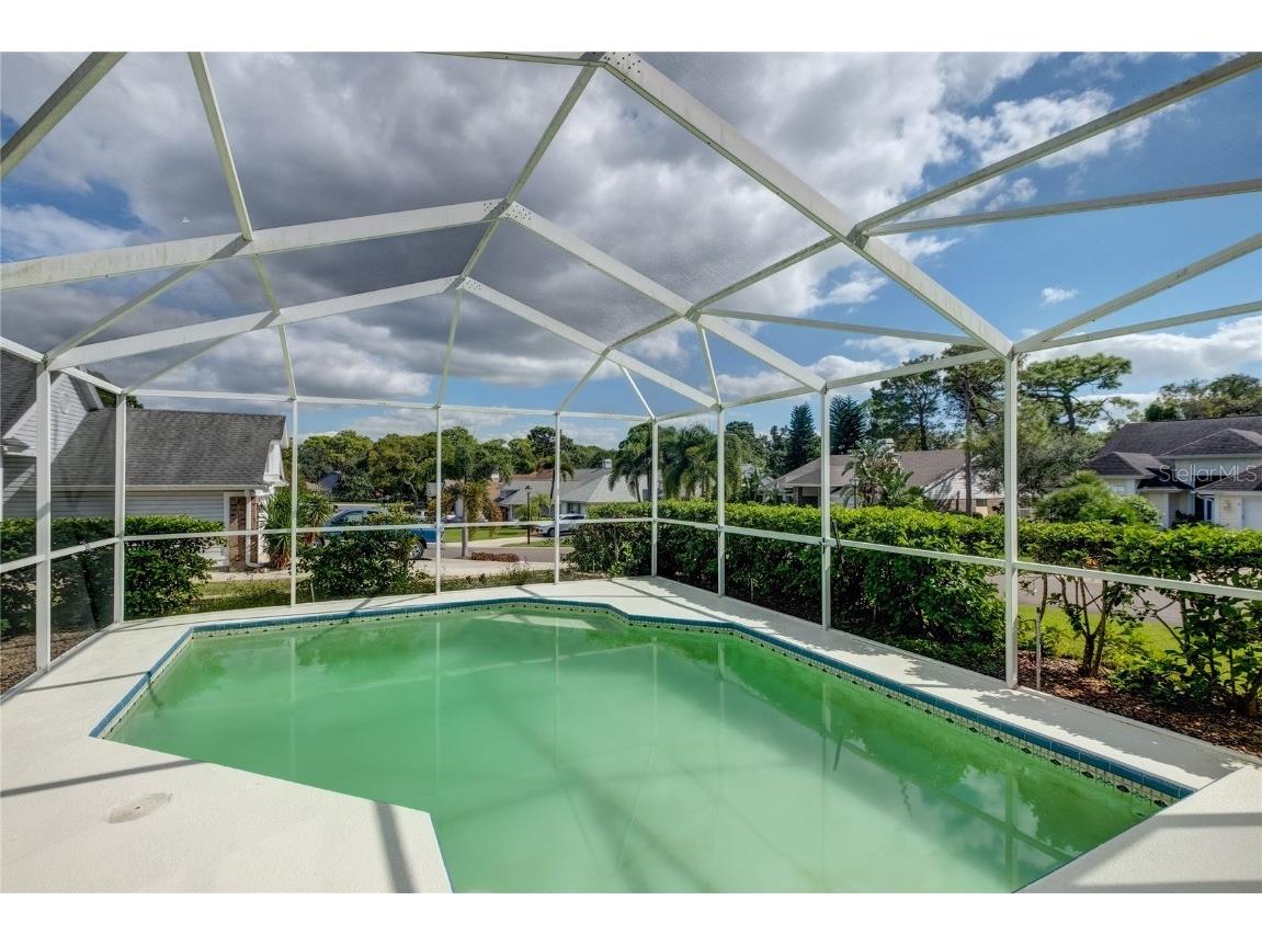 4113 Seton Circle Palm Harbor FL 34683 TB8443118 image28