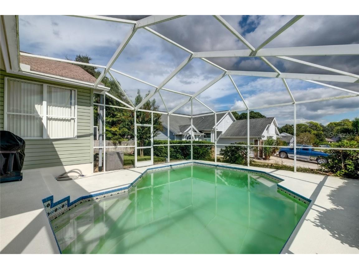 4113 Seton Circle Palm Harbor FL 34683 TB8443118 image29