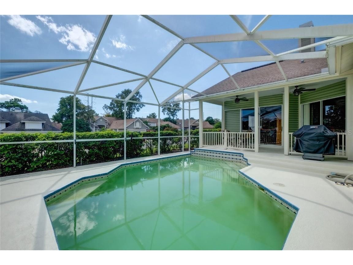 4113 Seton Circle Palm Harbor FL 34683 TB8443118 image31