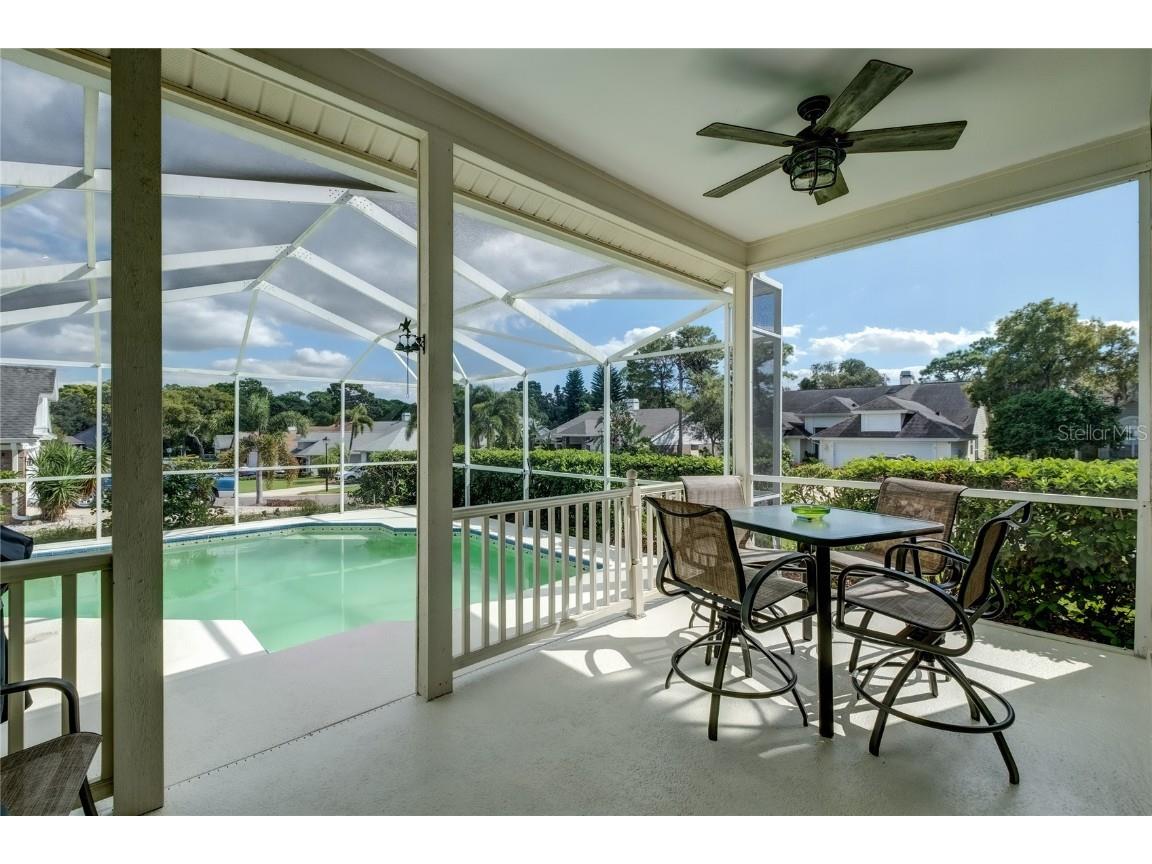 4113 Seton Circle Palm Harbor FL 34683 TB8443118 image32