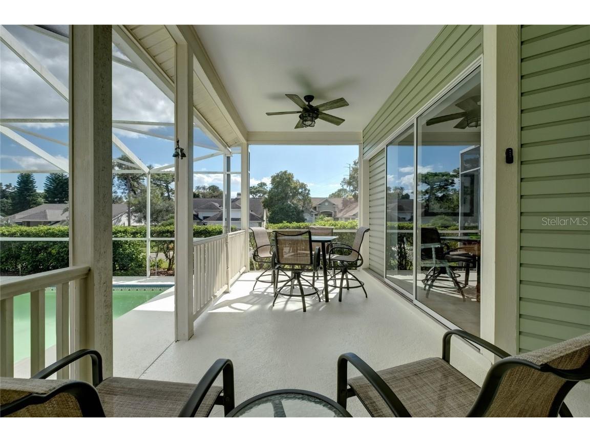 4113 Seton Circle Palm Harbor FL 34683 TB8443118 image33