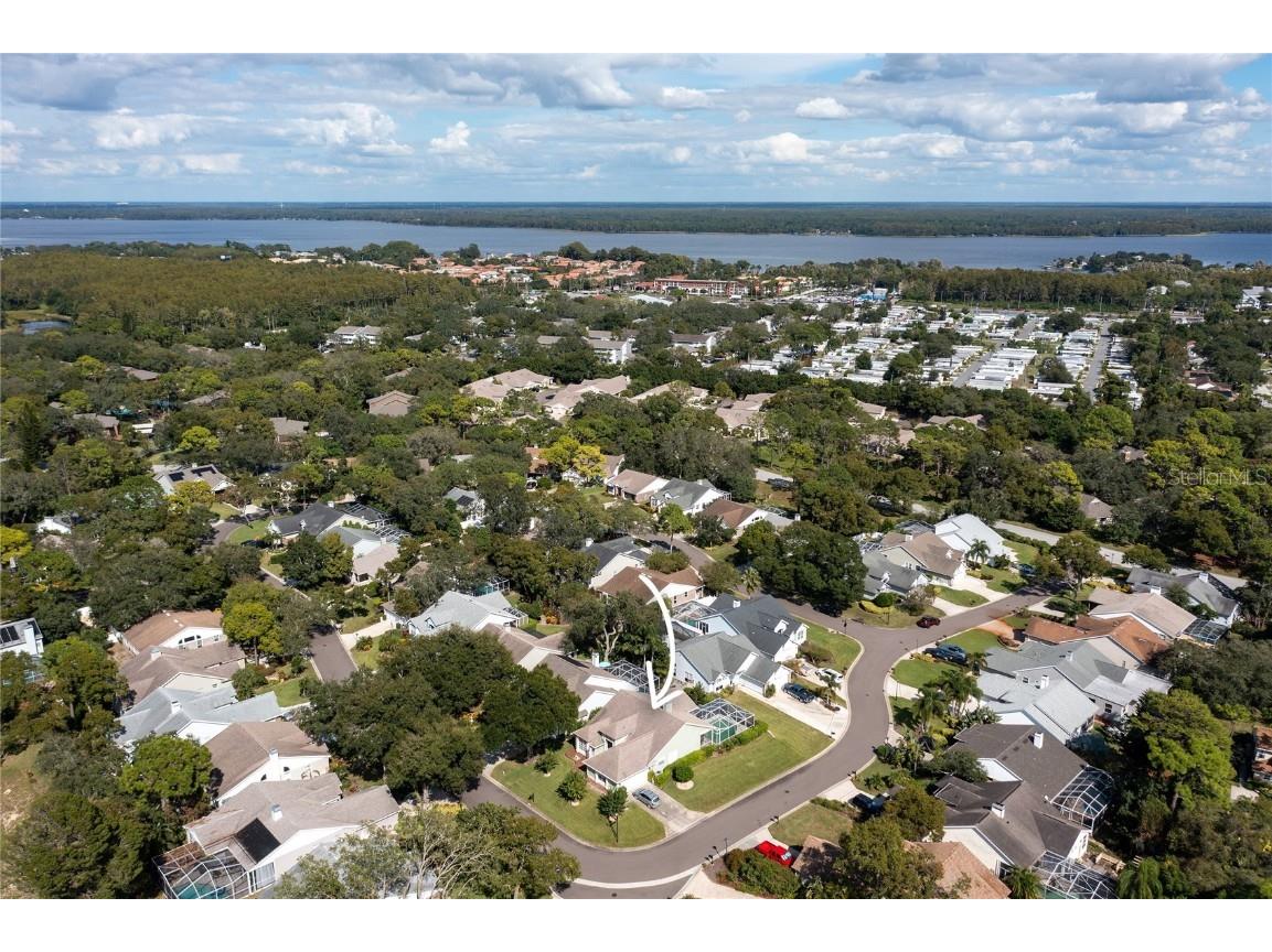 4113 Seton Circle Palm Harbor FL 34683 TB8443118 image37