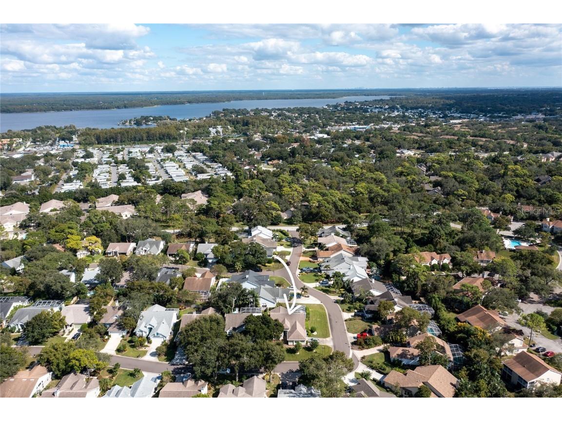 4113 Seton Circle Palm Harbor FL 34683 TB8443118 image38