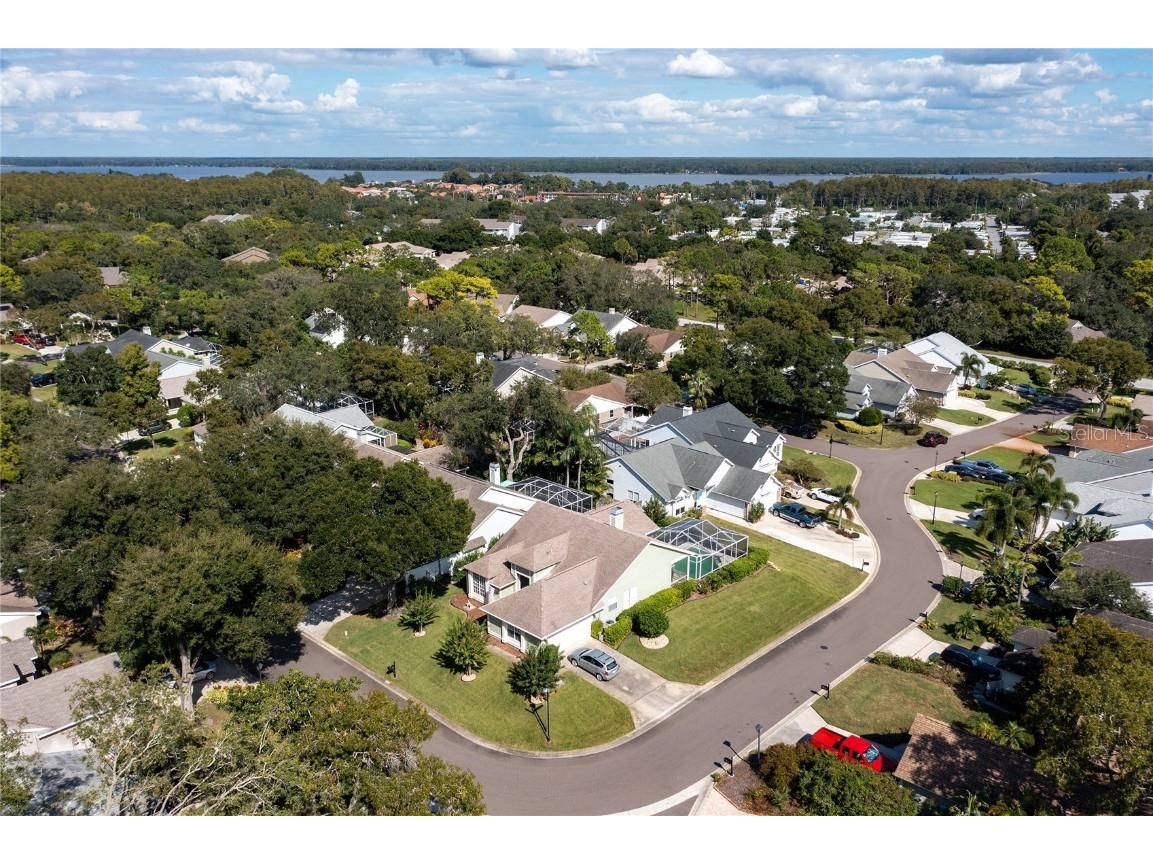 4113 Seton Circle Palm Harbor FL 34683 TB8443118 image39