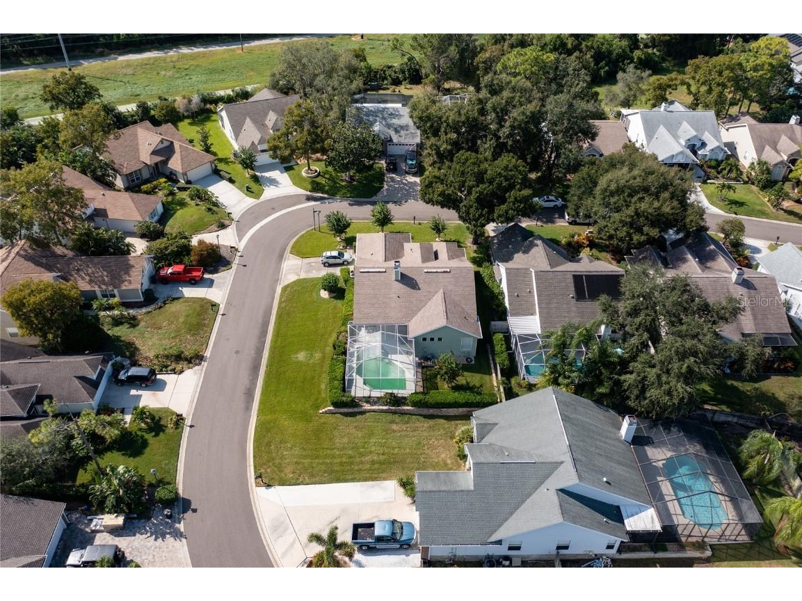 4113 Seton Circle Palm Harbor FL 34683 TB8443118 image40
