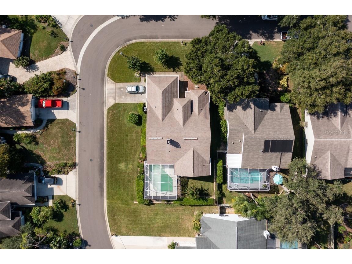4113 Seton Circle Palm Harbor FL 34683 TB8443118 image41