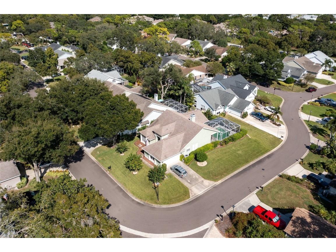 4113 Seton Circle Palm Harbor FL 34683 TB8443118 image42