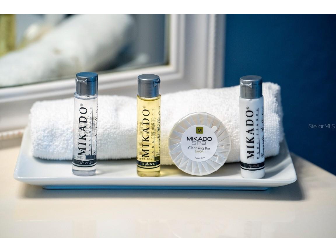 4114 Breakview Drive #30402 Orlando FL 32819 O6333127 image33