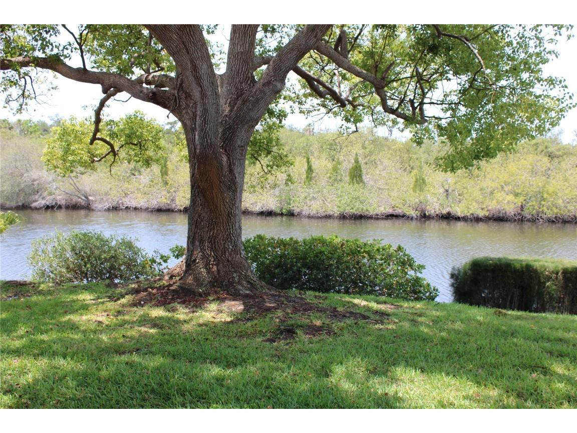 4114 Hampton Drive New Port Richey FL 34652 U8200411 image1