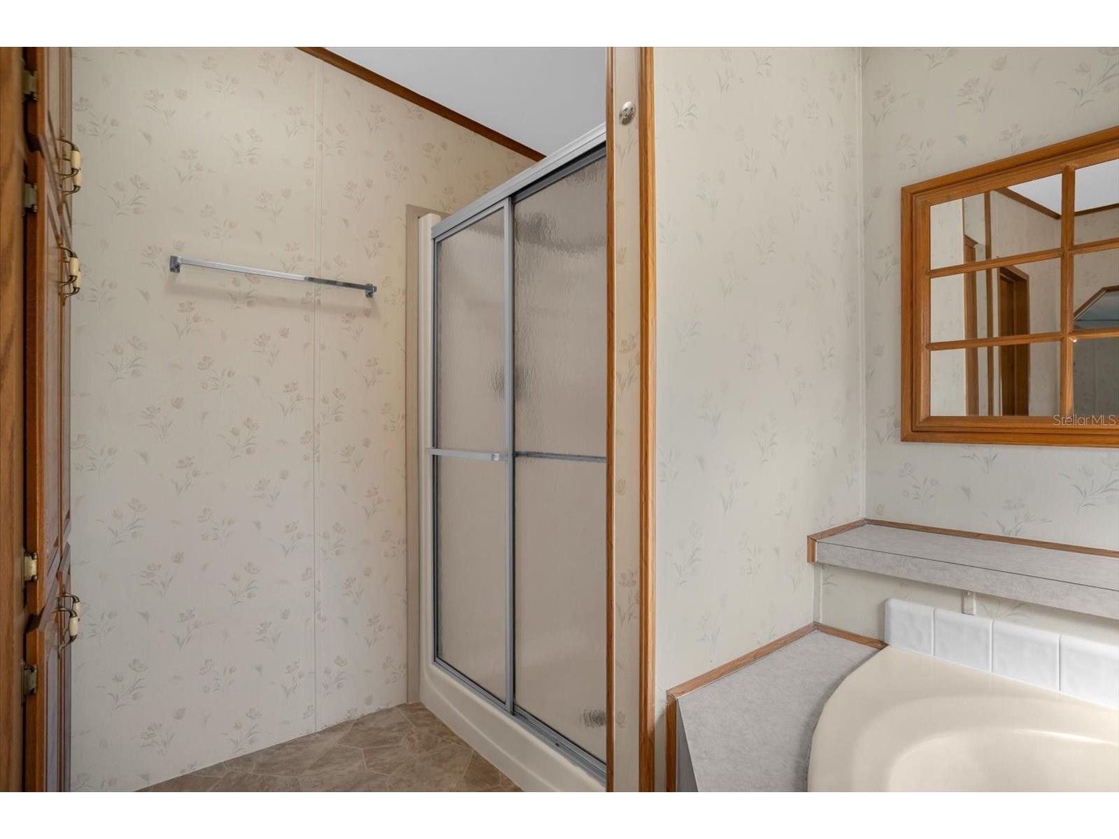 4114 Myrtle Oak Court #852 Zellwood FL 32798 O6396909 image22
