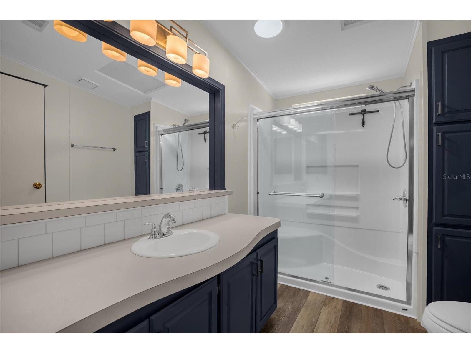 4114 Myrtle Oak Court #852 Zellwood FL 32798 O6396909 image27