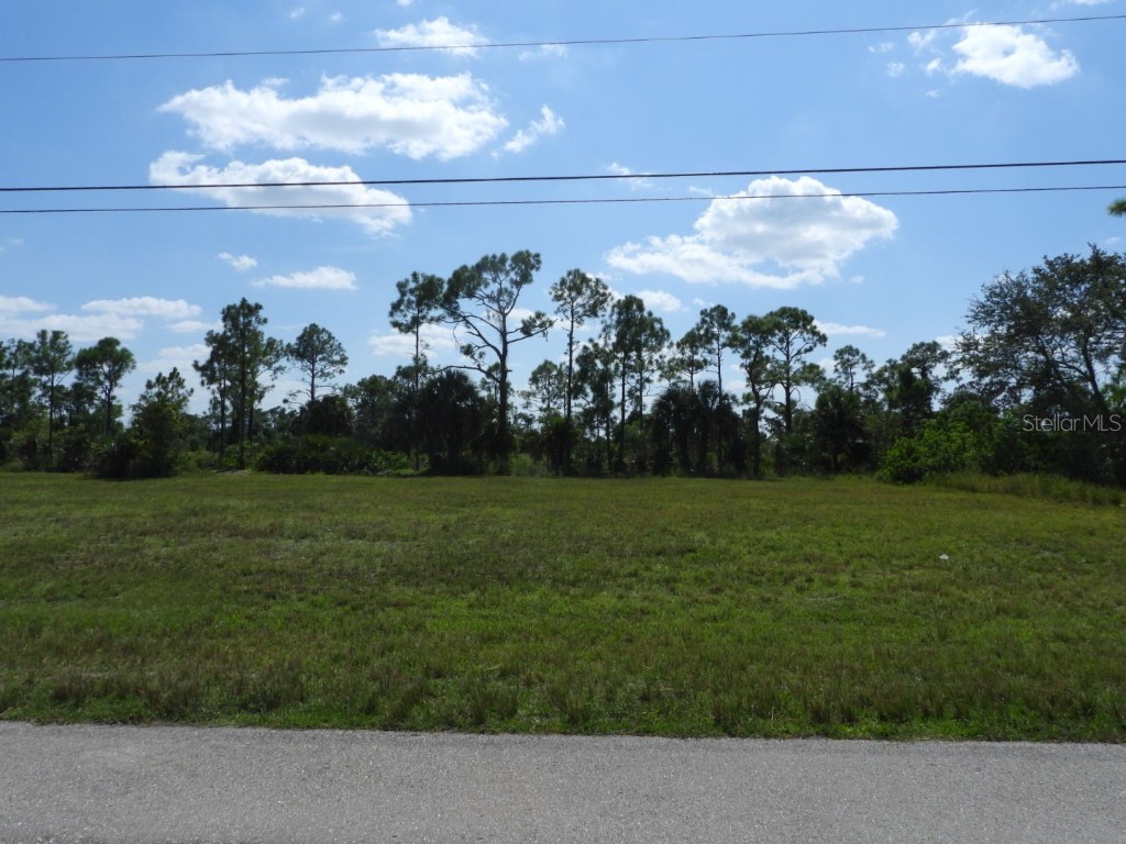 4114 NE 19th Place Cape Coral FL 33909 A4581397 image1