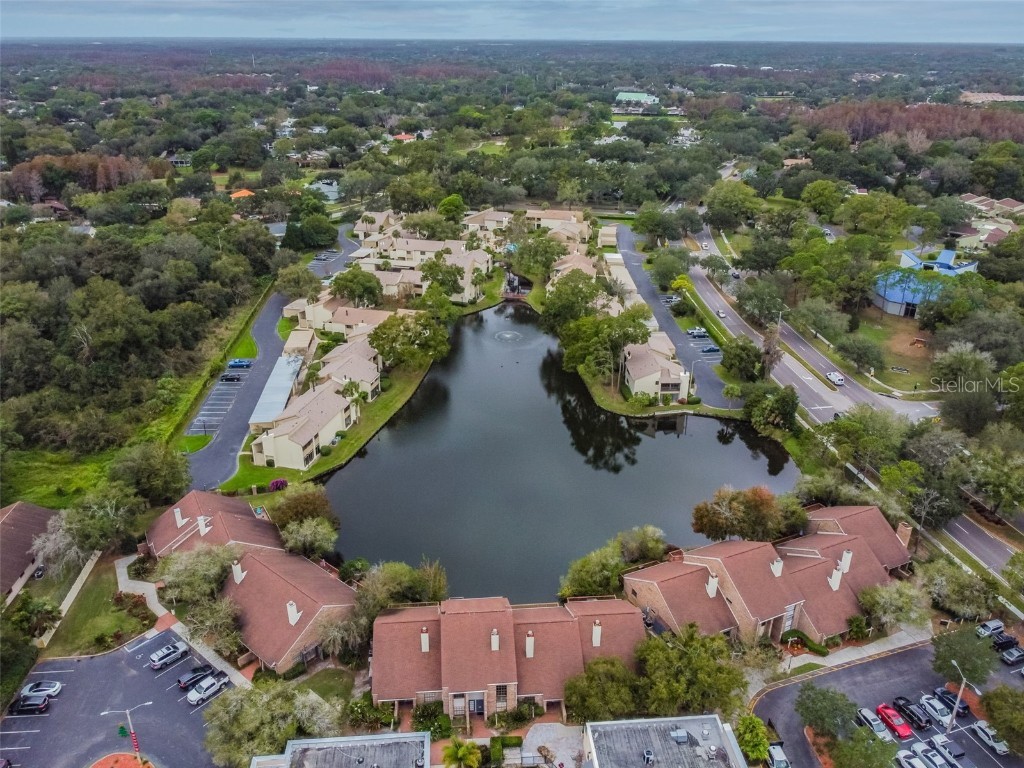 4114 Pinelake Lane #202 Tampa FL 33618 - PINELAKE GARDEN VILLAGE POND TB8396770 image38