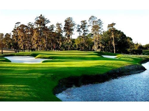 4114 Pinelake Lane #202 Tampa FL 33618 - PINELAKE GARDEN VILLAGE POND TB8396770 image63