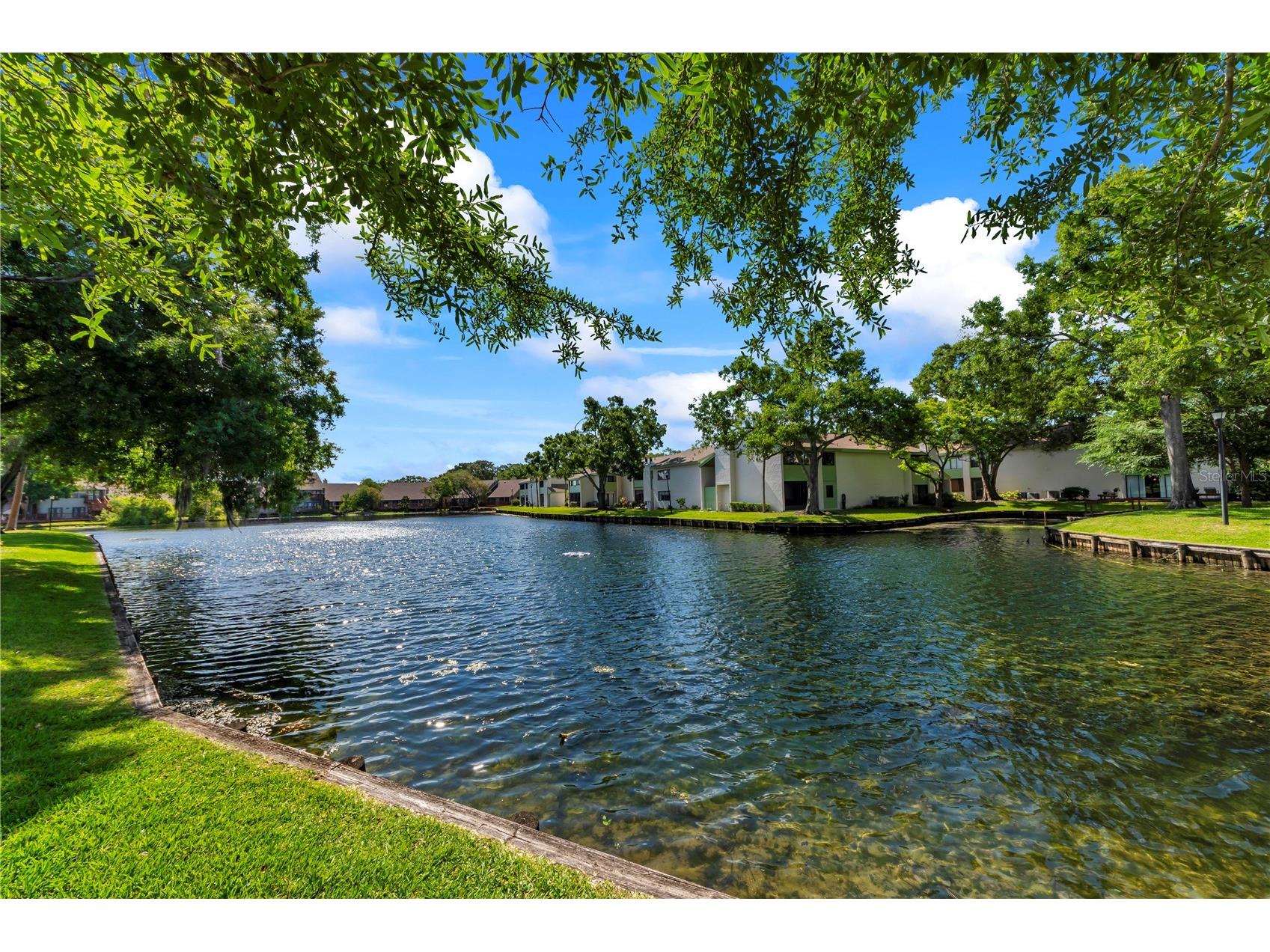 4114 Pinelake Lane #202 Tampa FL 33618 TB8501083 image21