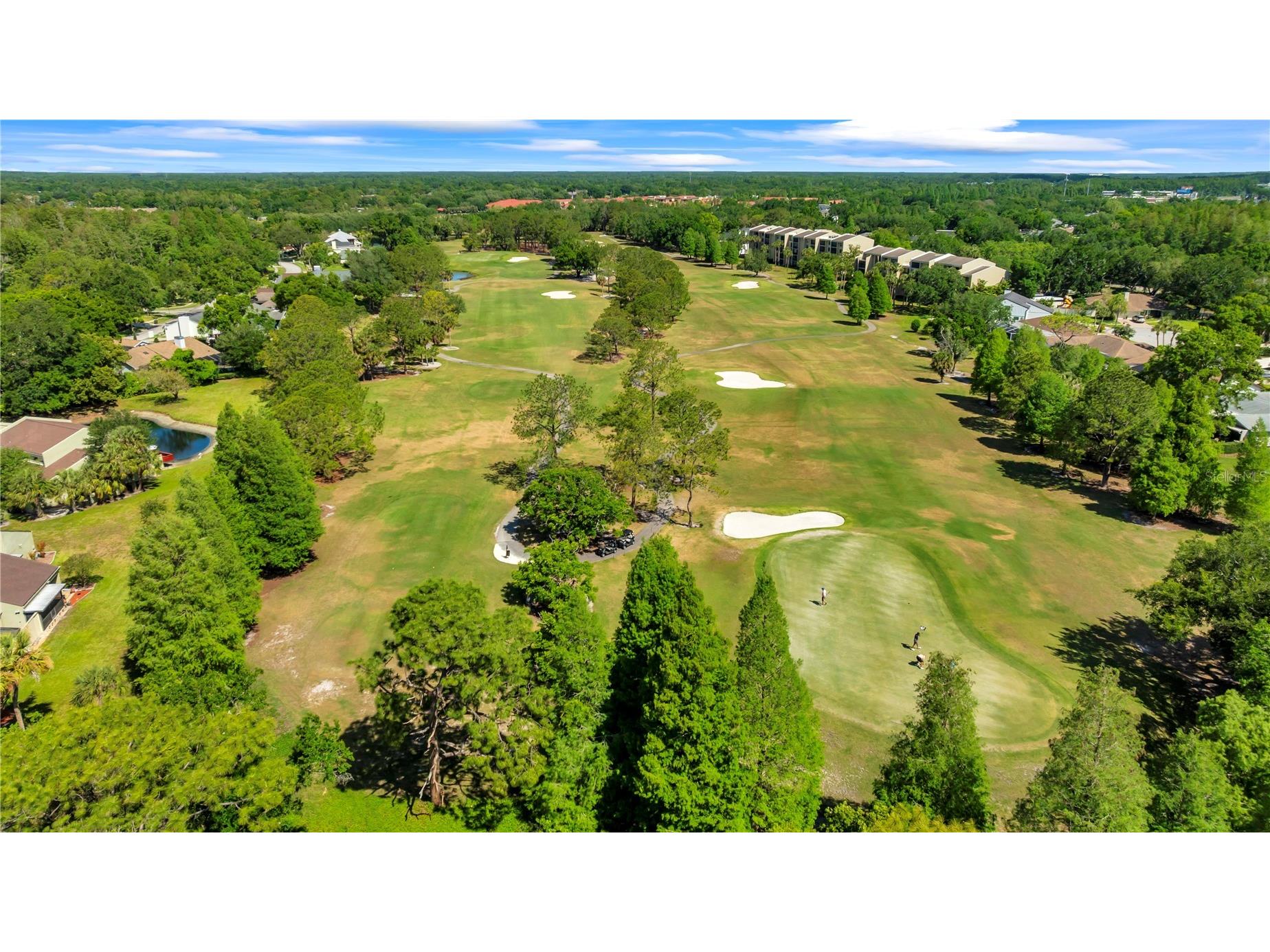 4114 Pinelake Lane #202 Tampa FL 33618 TB8501083 image36