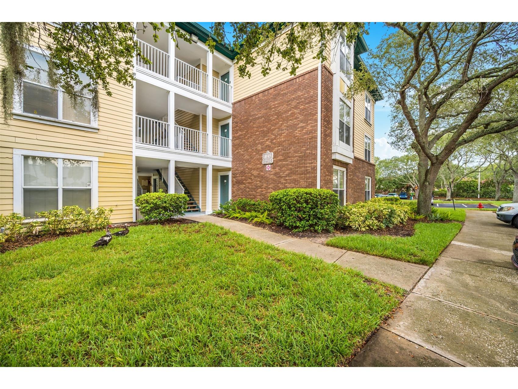 4115 Chatham Oak Court #209 Tampa FL 33624 TB8523479 image1