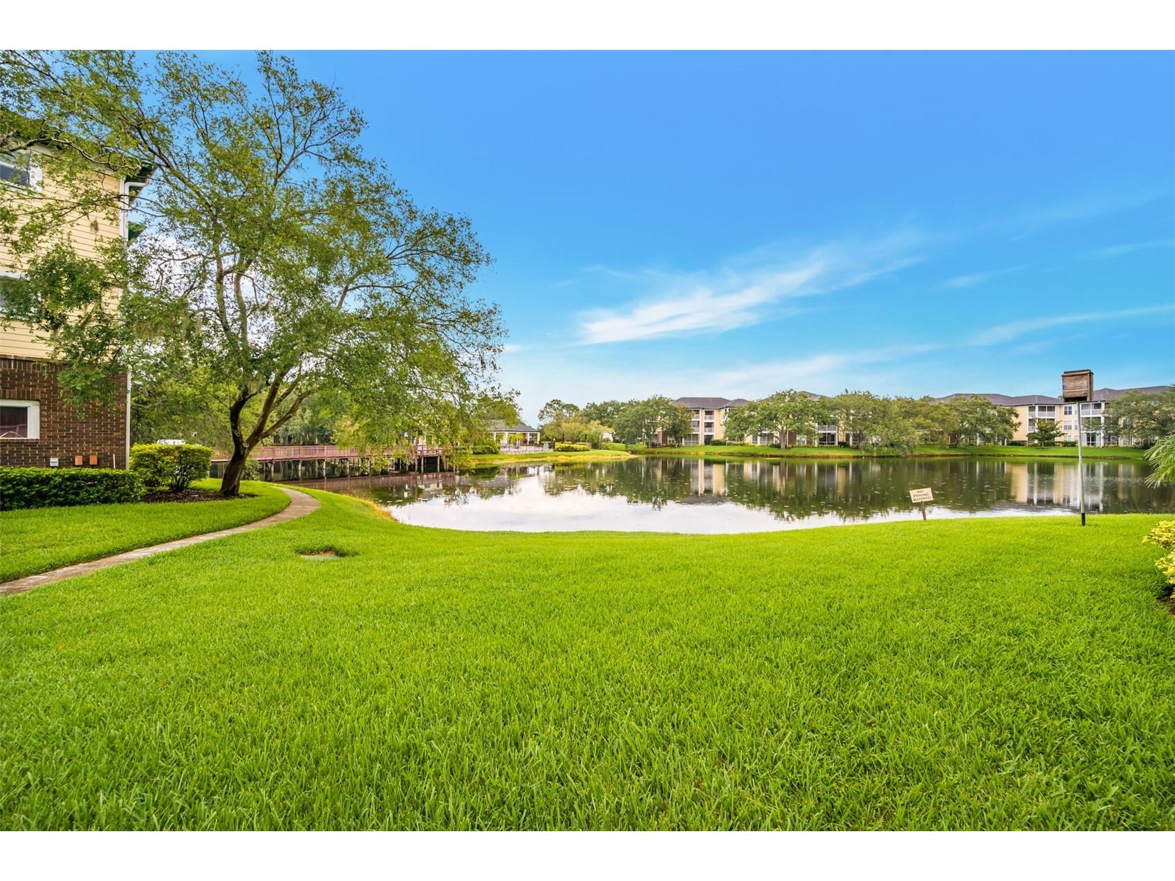 4115 Chatham Oak Court #209 Tampa FL 33624 TB8523479 image20